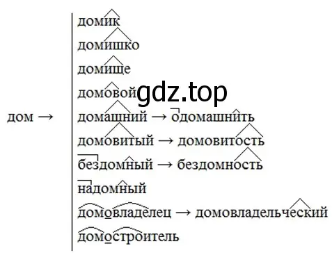 Решение 4. номер 306 (страница 159) гдз по русскому языку 6 класс Баранов, Ладыженская, учебник 1 часть