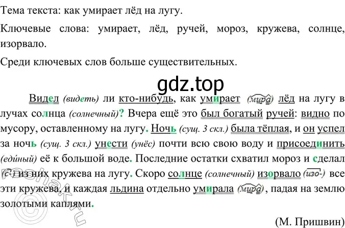 Решение 4. номер 406 (страница 204) гдз по русскому языку 6 класс Баранов, Ладыженская, учебник 1 часть