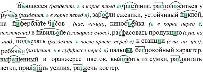 Решение 4. номер 46 (страница 21) гдз по русскому языку 6 класс Баранов, Ладыженская, учебник 1 часть