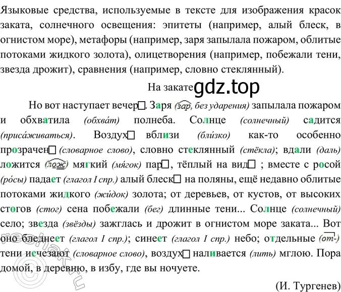 Решение 4. номер 55 (страница 28) гдз по русскому языку 6 класс Баранов, Ладыженская, учебник 1 часть