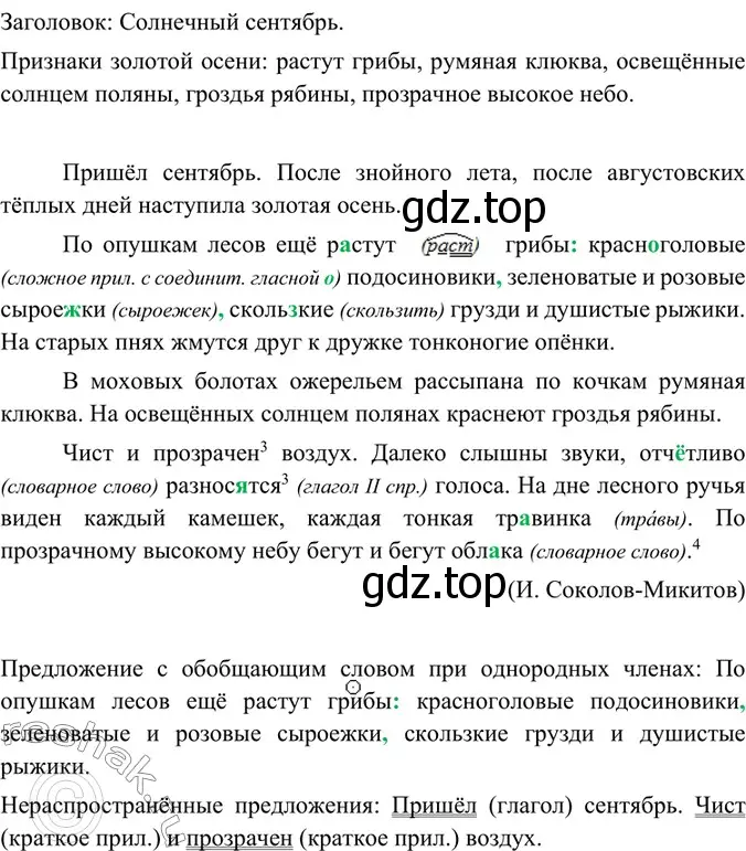 Решение 4. номер 65 (страница 32) гдз по русскому языку 6 класс Баранов, Ладыженская, учебник 1 часть