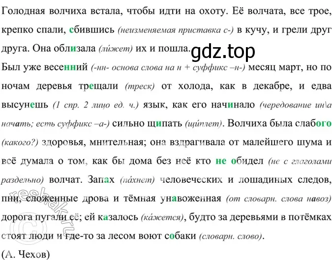 Решение 4. номер 725 (страница 164) гдз по русскому языку 6 класс Баранов, Ладыженская, учебник 2 часть