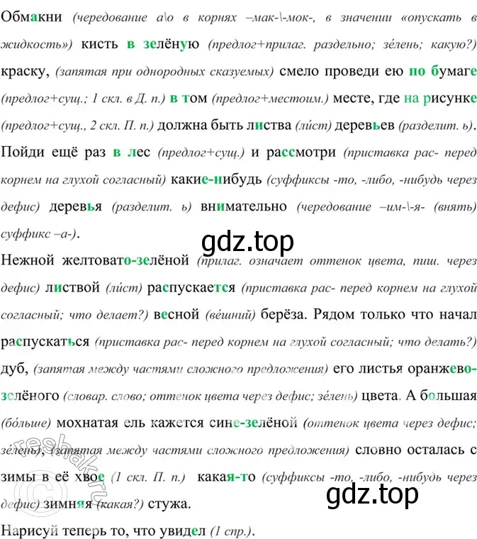 Решение 4. номер 738 (страница 167) гдз по русскому языку 6 класс Баранов, Ладыженская, учебник 2 часть