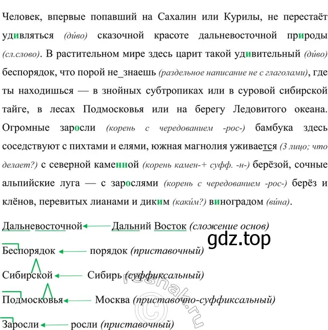 Решение 4. номер 748 (страница 173) гдз по русскому языку 6 класс Баранов, Ладыженская, учебник 2 часть