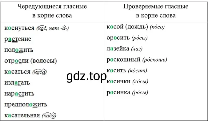 Решение 5. номер 312 (страница 162) гдз по русскому языку 6 класс Баранов, Ладыженская, учебник 1 часть