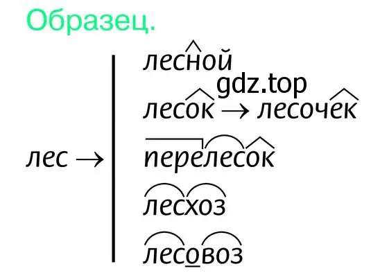 Расположить данные однокоренные слова с учётом последовательности их образования. Создать словообразовательные гнёзда 