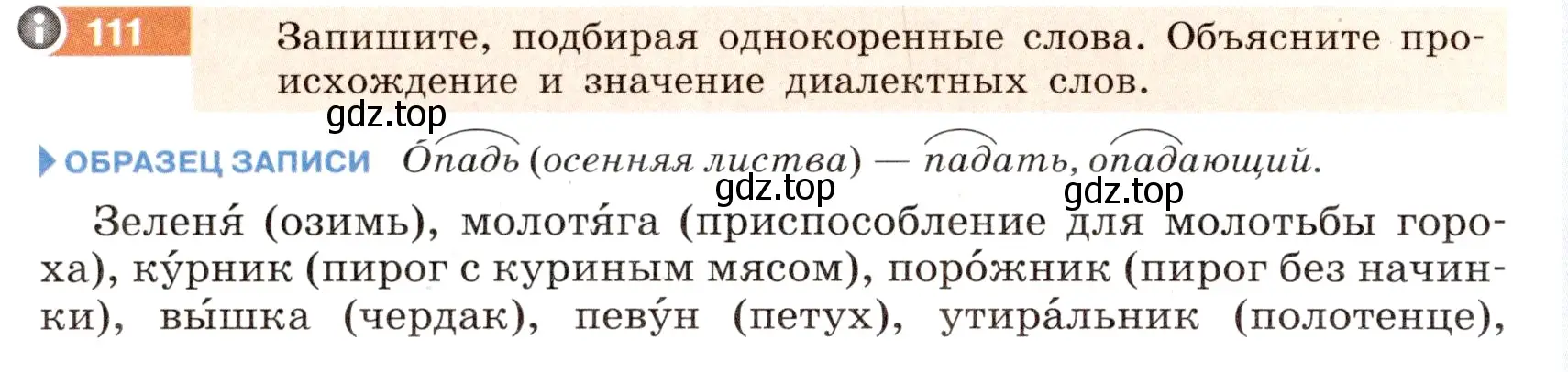 Условие номер 111 (страница 46) гдз по русскому языку 6 класс Разумовская, Львова, учебник 1 часть