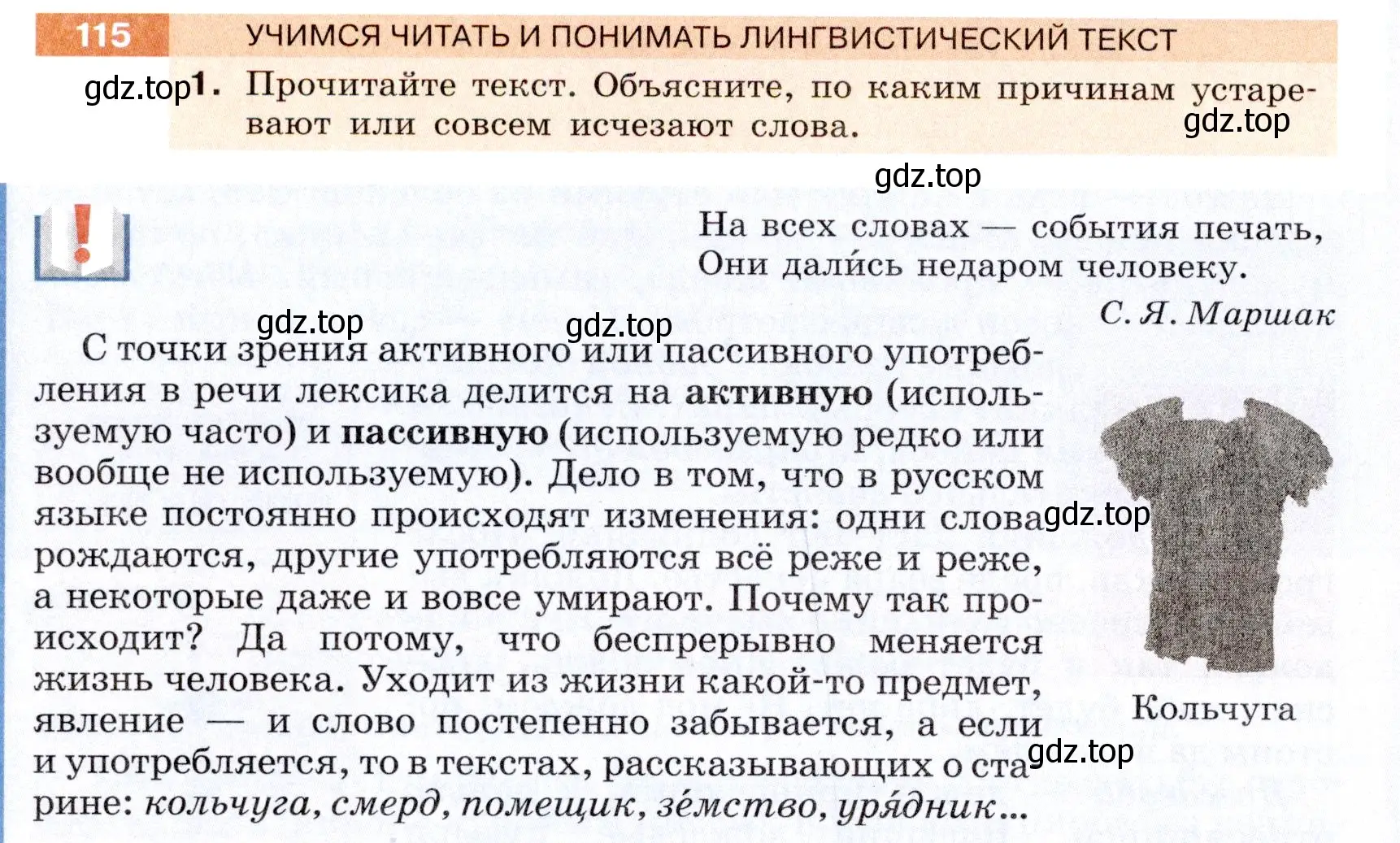 Условие номер 115 (страница 48) гдз по русскому языку 6 класс Разумовская, Львова, учебник 1 часть