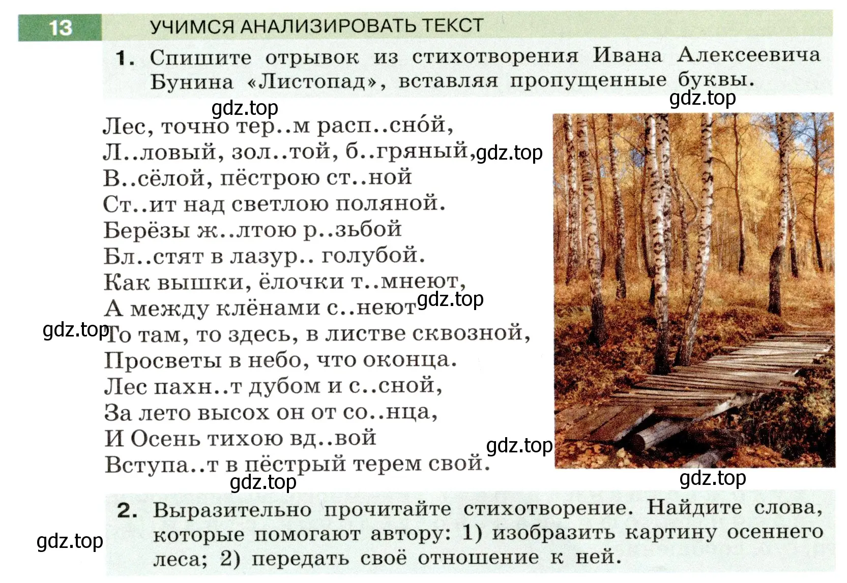 Условие номер 13 (страница 10) гдз по русскому языку 6 класс Разумовская, Львова, учебник 1 часть