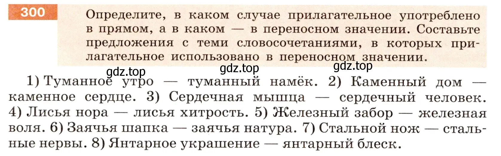 Условие номер 300 (страница 112) гдз по русскому языку 6 класс Разумовская, Львова, учебник 1 часть