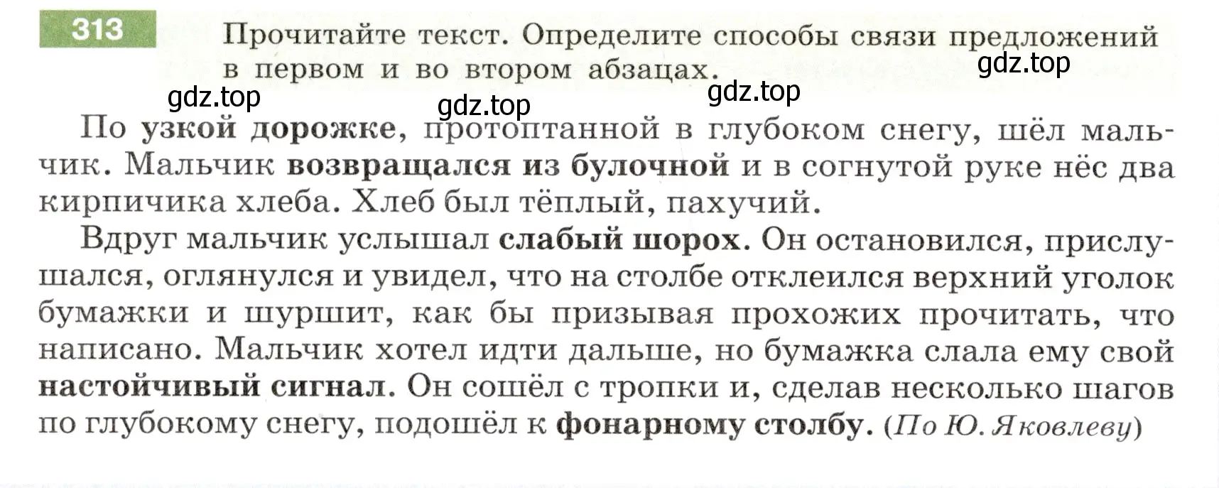 Условие номер 313 (страница 116) гдз по русскому языку 6 класс Разумовская, Львова, учебник 1 часть