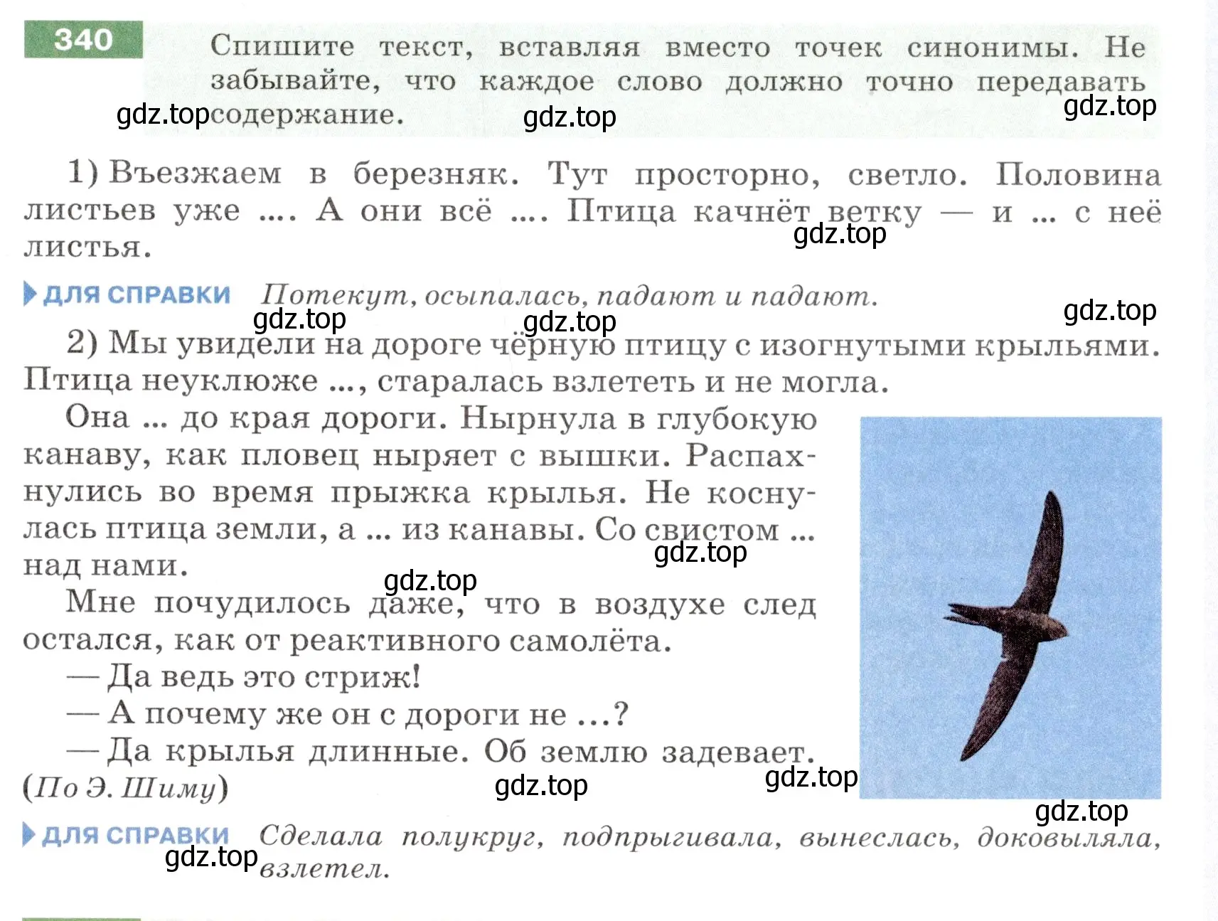 Условие номер 340 (страница 125) гдз по русскому языку 6 класс Разумовская, Львова, учебник 1 часть