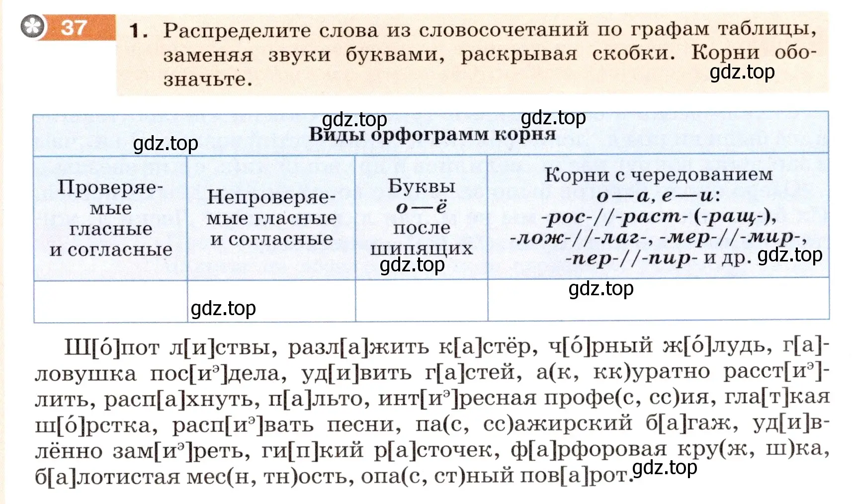 Условие номер 37 (страница 19) гдз по русскому языку 6 класс Разумовская, Львова, учебник 1 часть