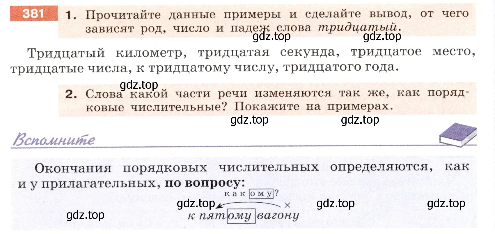 Условие номер 381 (страница 138) гдз по русскому языку 6 класс Разумовская, Львова, учебник 1 часть