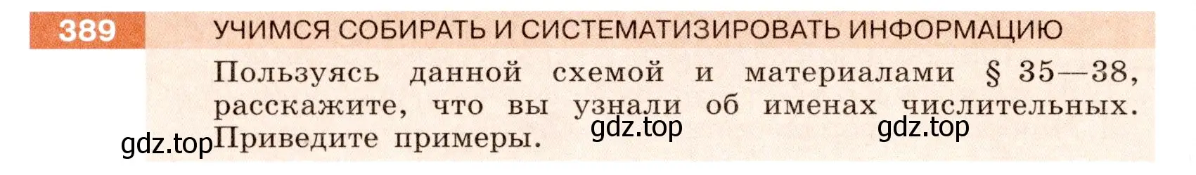 Условие номер 389 (страница 140) гдз по русскому языку 6 класс Разумовская, Львова, учебник 1 часть