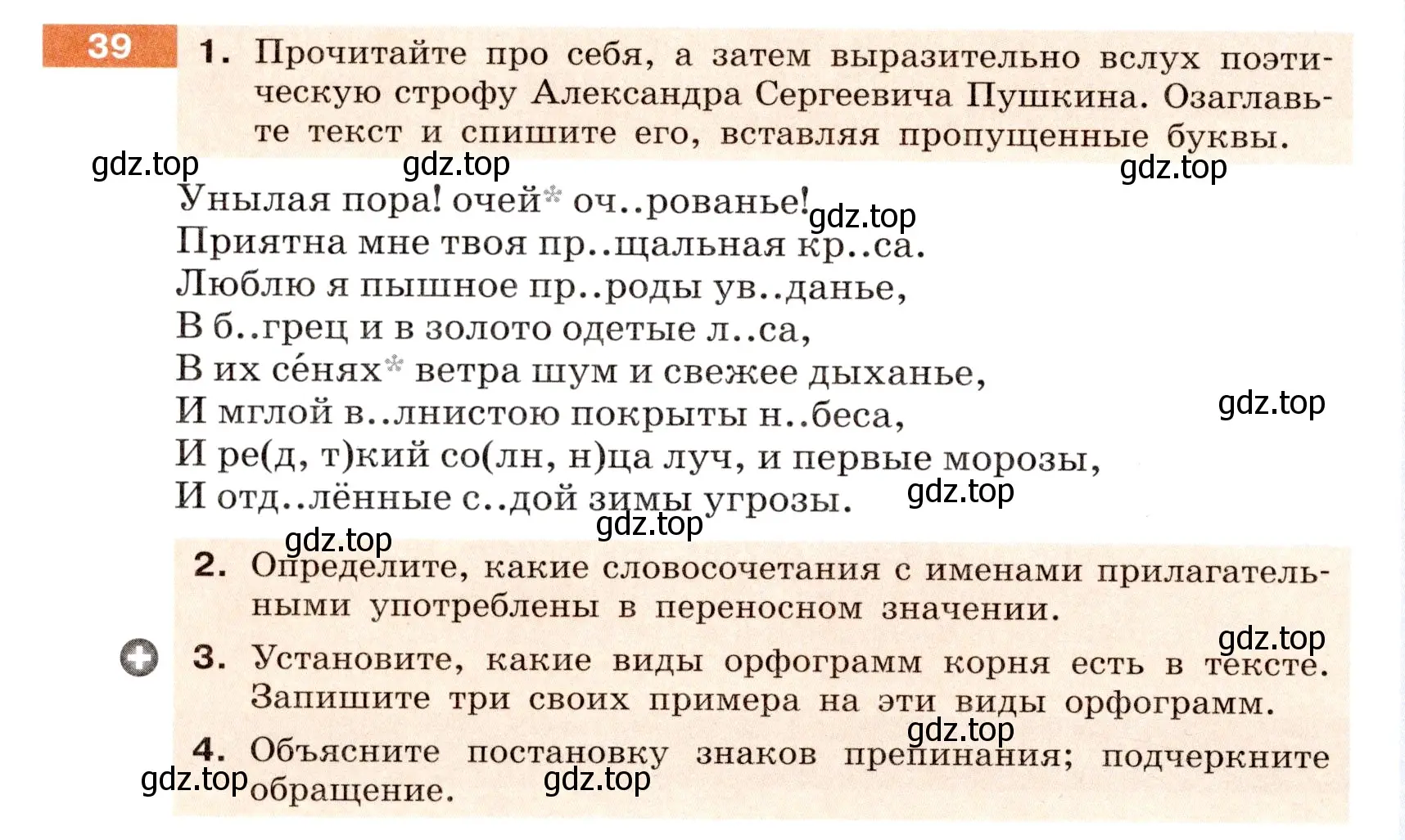 Условие номер 39 (страница 20) гдз по русскому языку 6 класс Разумовская, Львова, учебник 1 часть