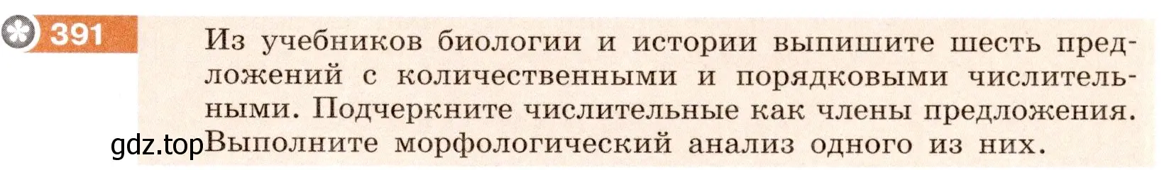 Условие номер 391 (страница 141) гдз по русскому языку 6 класс Разумовская, Львова, учебник 1 часть