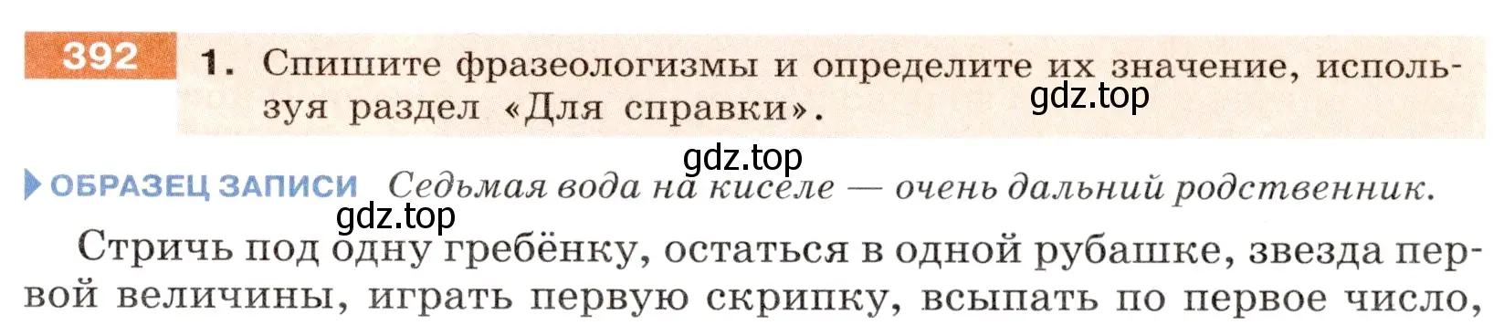 Условие номер 392 (страница 141) гдз по русскому языку 6 класс Разумовская, Львова, учебник 1 часть