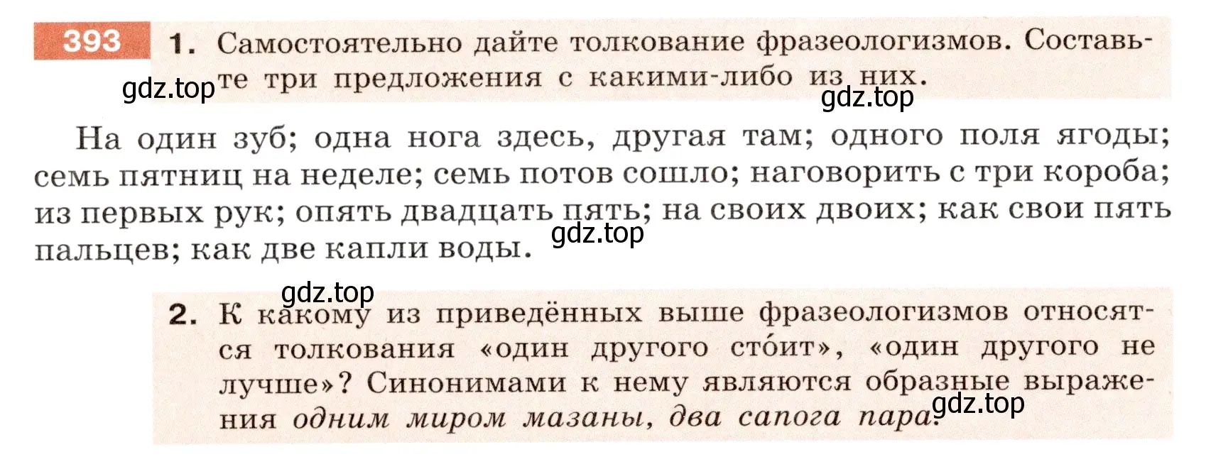 Условие номер 393 (страница 142) гдз по русскому языку 6 класс Разумовская, Львова, учебник 1 часть