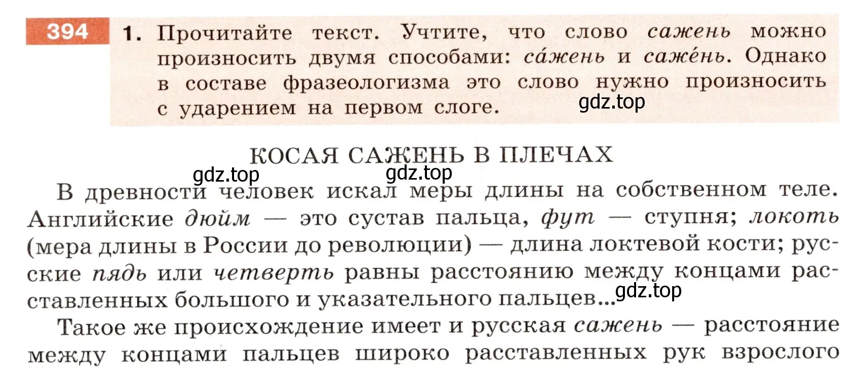 Условие номер 394 (страница 142) гдз по русскому языку 6 класс Разумовская, Львова, учебник 1 часть