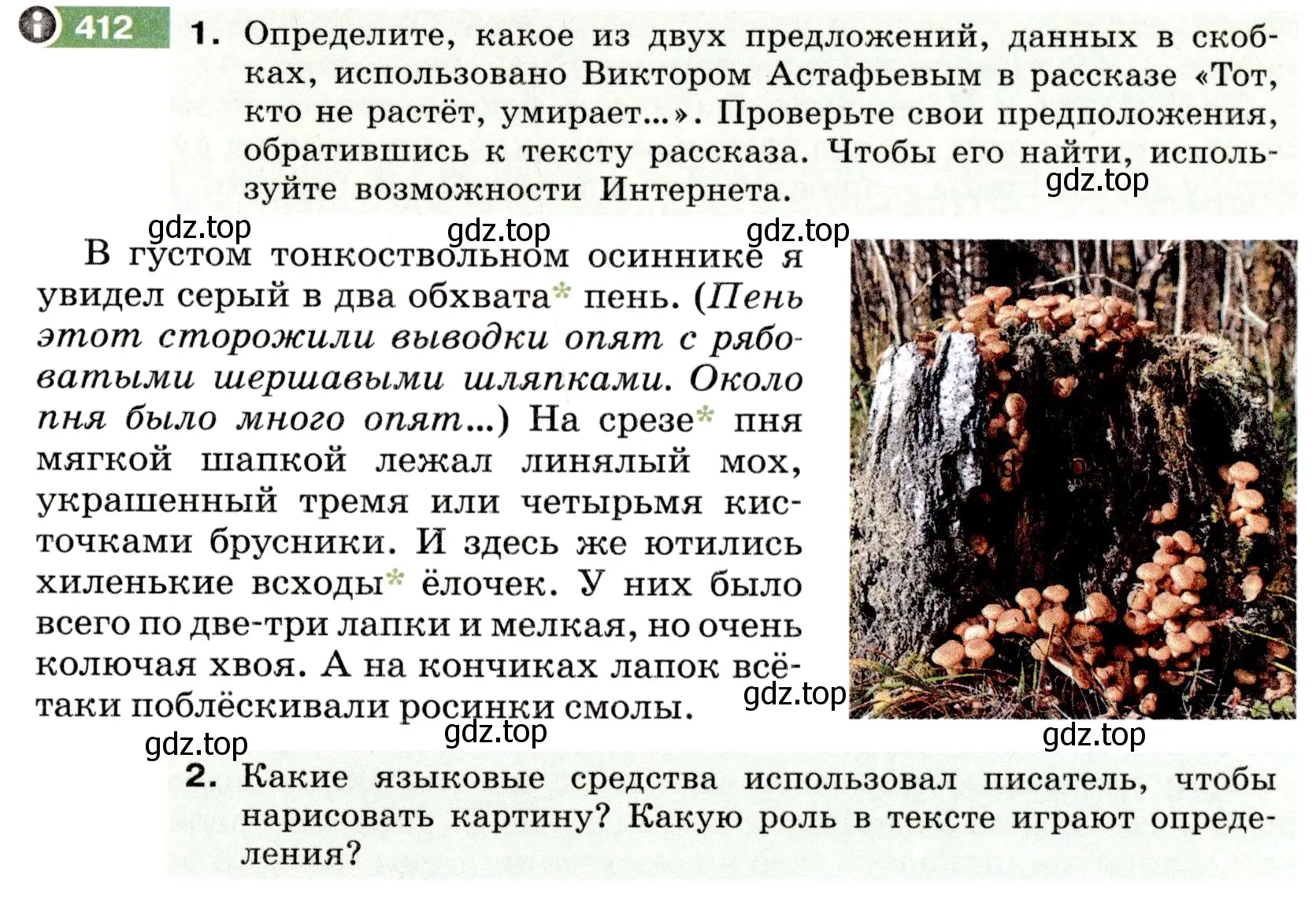 Условие номер 412 (страница 149) гдз по русскому языку 6 класс Разумовская, Львова, учебник 1 часть