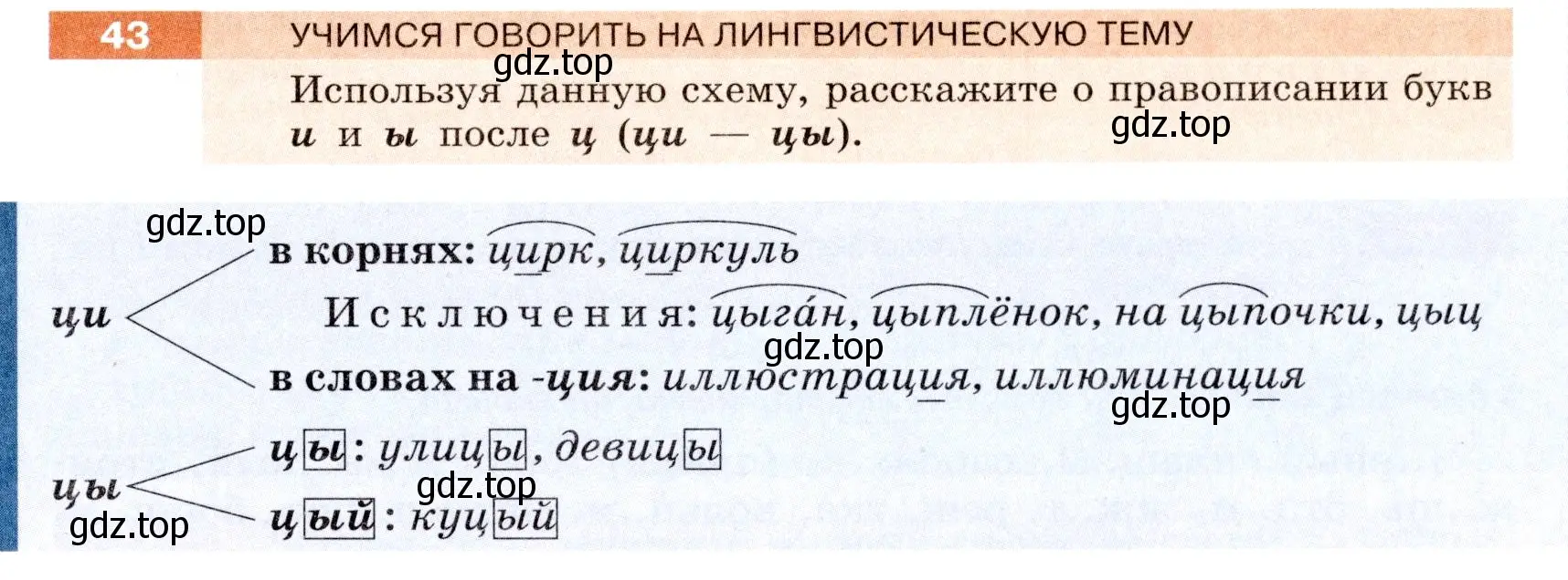 Условие номер 43 (страница 21) гдз по русскому языку 6 класс Разумовская, Львова, учебник 1 часть