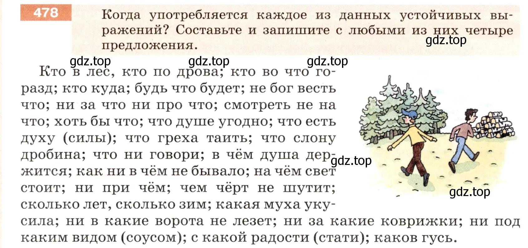 Условие номер 478 (страница 22) гдз по русскому языку 6 класс Разумовская, Львова, учебник 2 часть