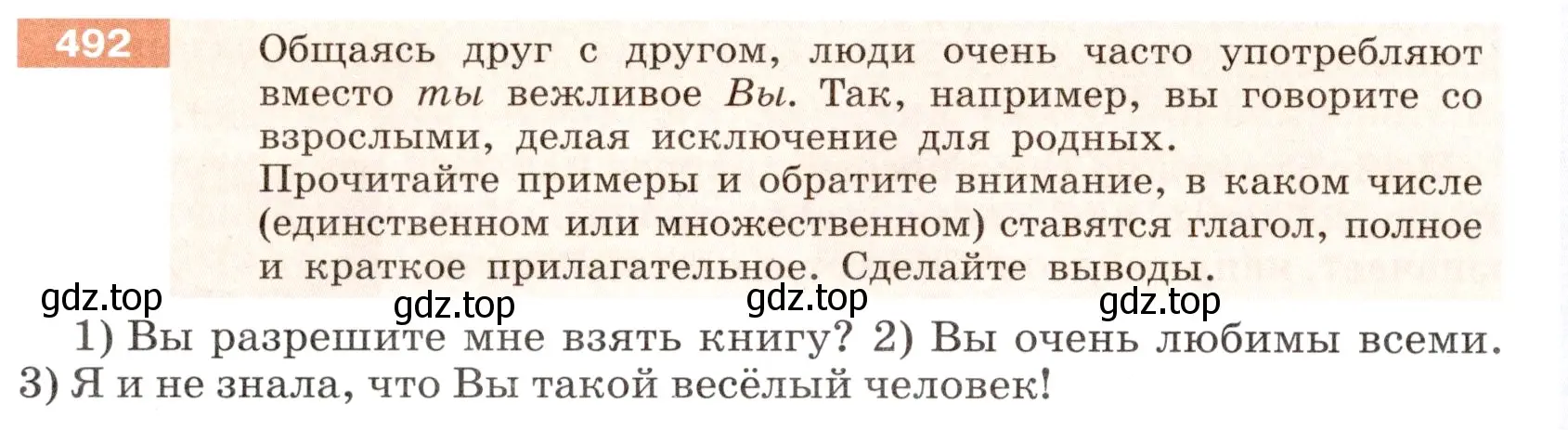 Условие номер 492 (страница 28) гдз по русскому языку 6 класс Разумовская, Львова, учебник 2 часть