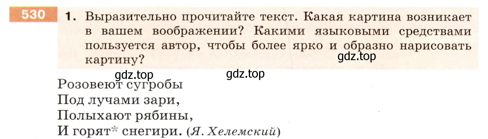 Условие номер 530 (страница 40) гдз по русскому языку 6 класс Разумовская, Львова, учебник 2 часть