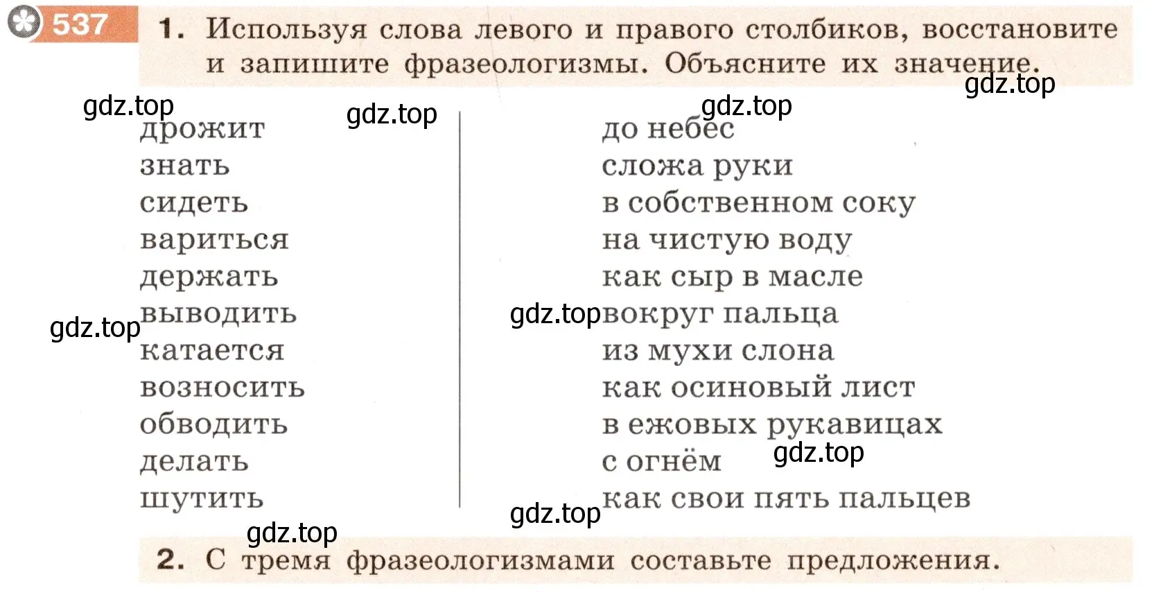 Условие номер 537 (страница 43) гдз по русскому языку 6 класс Разумовская, Львова, учебник 2 часть