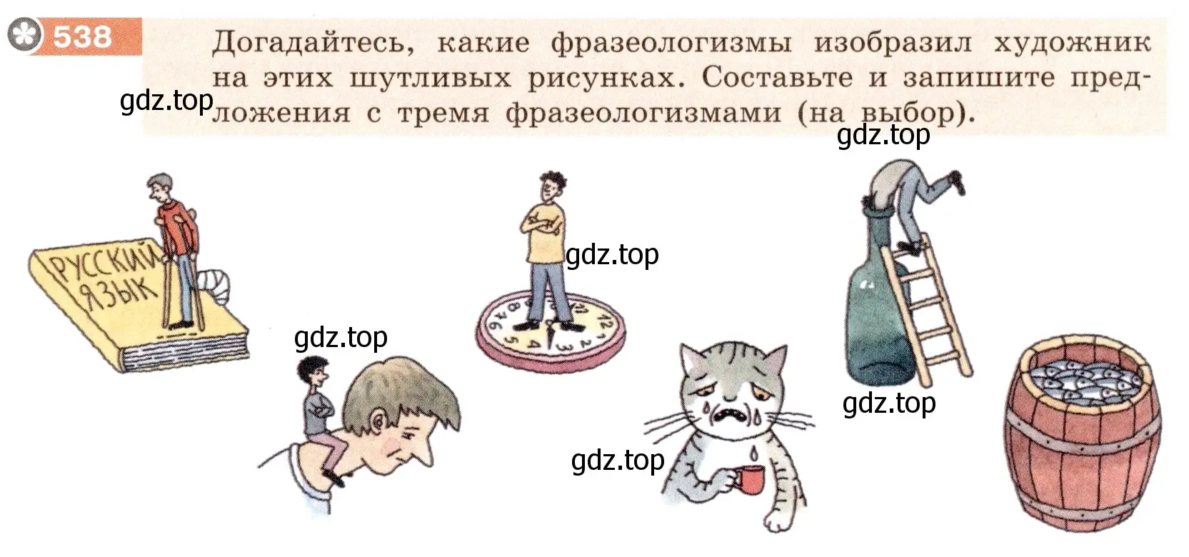 Условие номер 538 (страница 43) гдз по русскому языку 6 класс Разумовская, Львова, учебник 2 часть