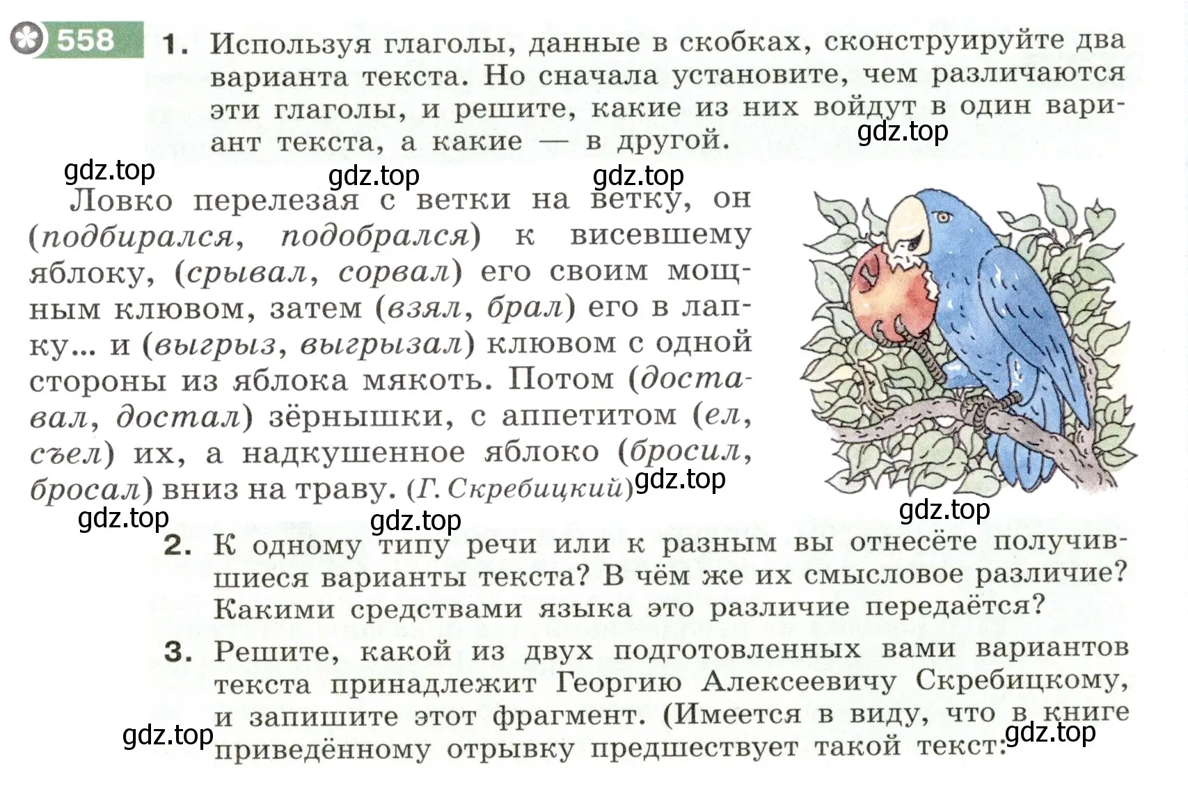 Условие номер 558 (страница 51) гдз по русскому языку 6 класс Разумовская, Львова, учебник 2 часть