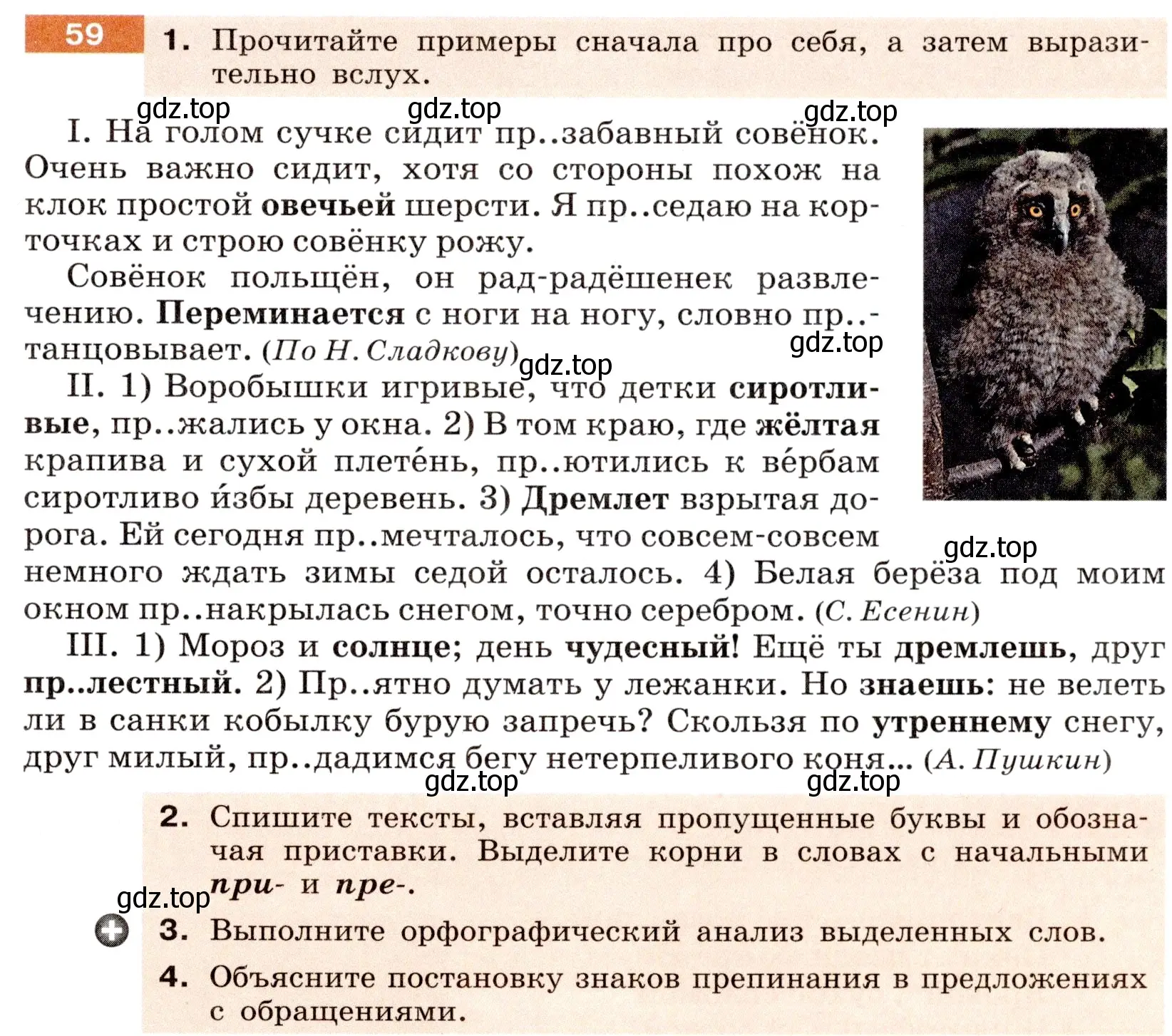 Условие номер 59 (страница 25) гдз по русскому языку 6 класс Разумовская, Львова, учебник 1 часть