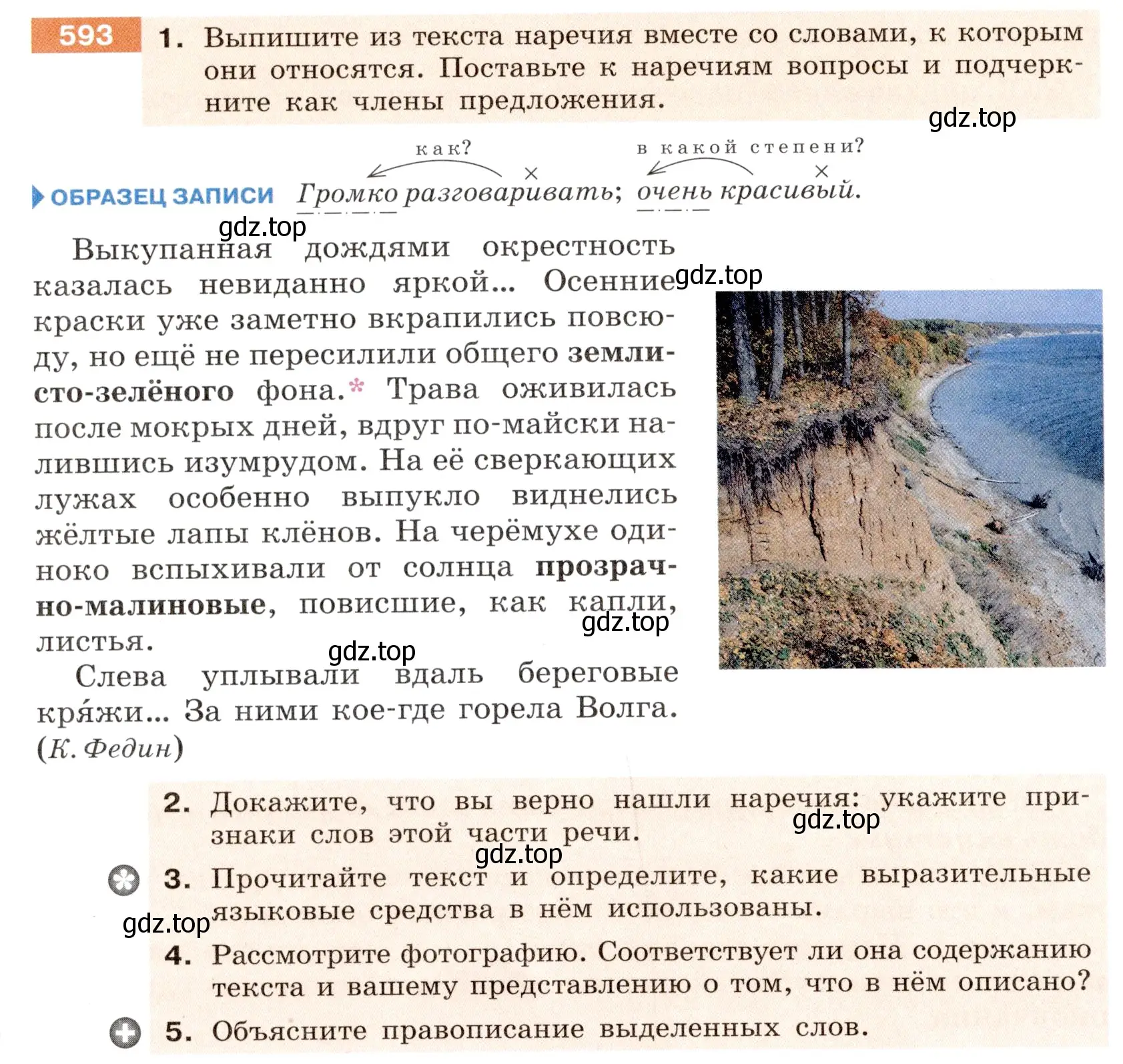 Условие номер 593 (страница 68) гдз по русскому языку 6 класс Разумовская, Львова, учебник 2 часть