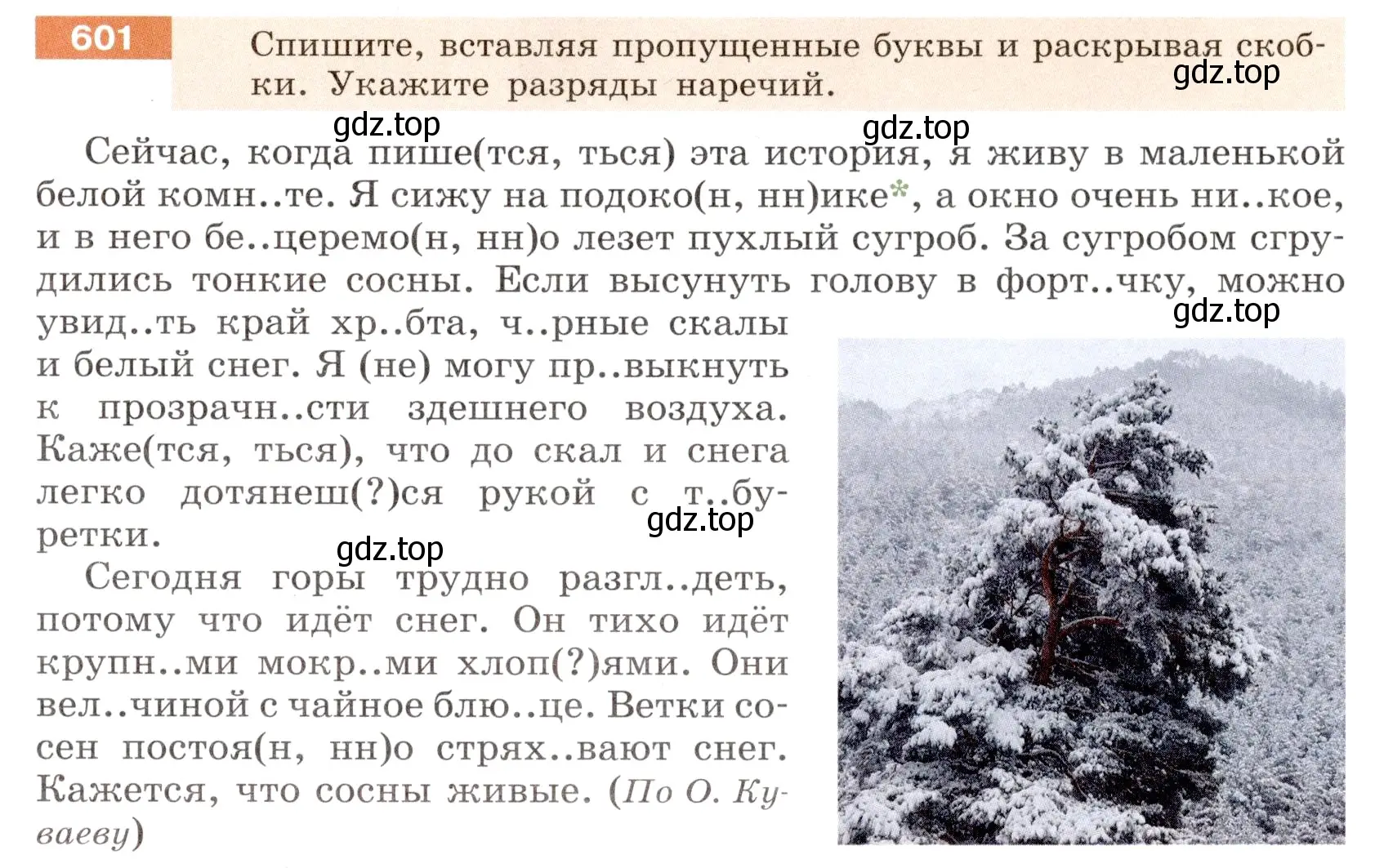 Условие номер 601 (страница 73) гдз по русскому языку 6 класс Разумовская, Львова, учебник 2 часть