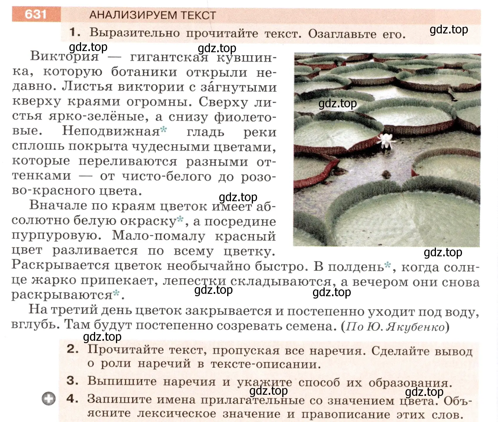 Условие номер 631 (страница 85) гдз по русскому языку 6 класс Разумовская, Львова, учебник 2 часть