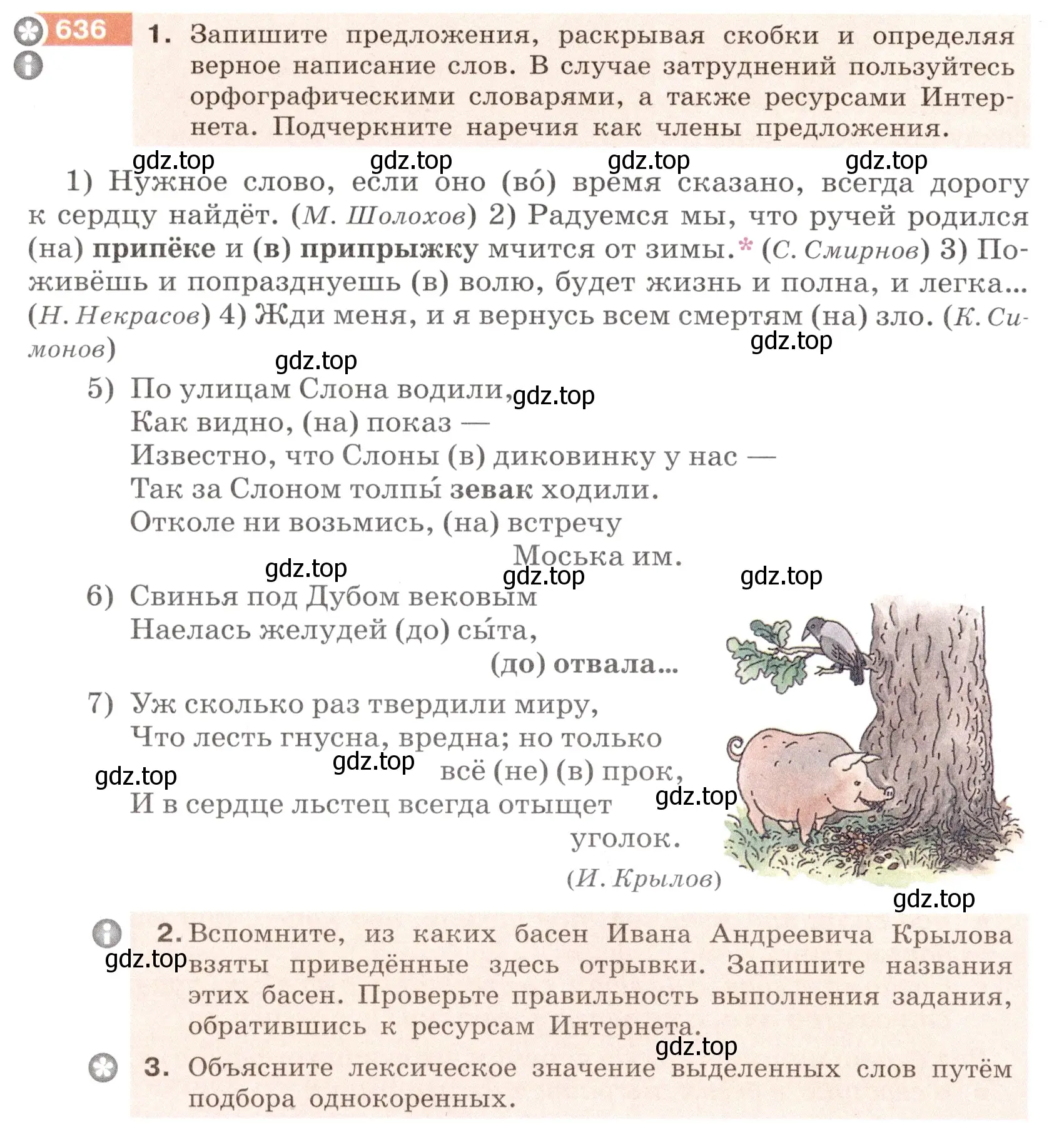 Условие номер 636 (страница 88) гдз по русскому языку 6 класс Разумовская, Львова, учебник 2 часть