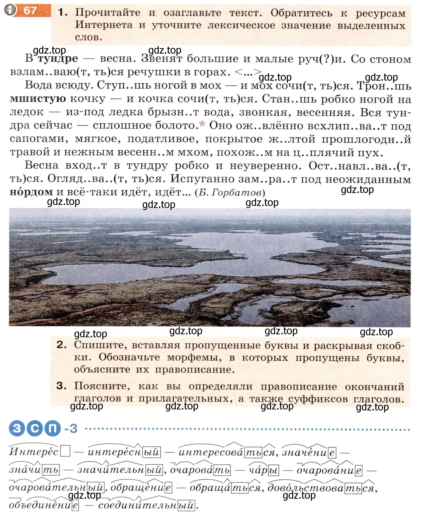 Условие номер 67 (страница 28) гдз по русскому языку 6 класс Разумовская, Львова, учебник 1 часть