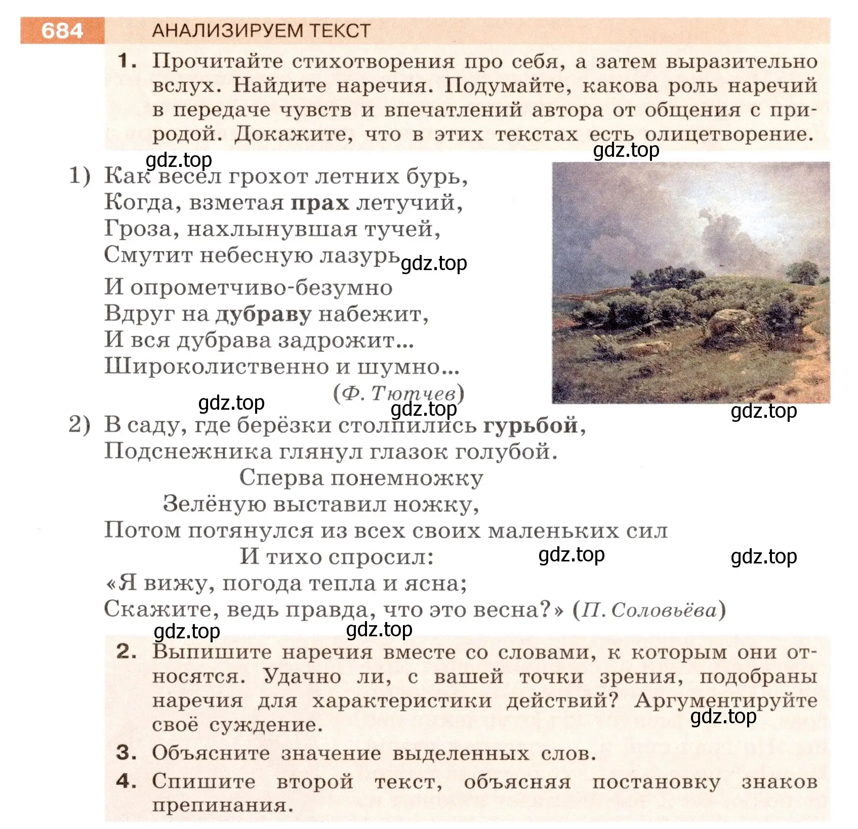 Условие номер 684 (страница 109) гдз по русскому языку 6 класс Разумовская, Львова, учебник 2 часть