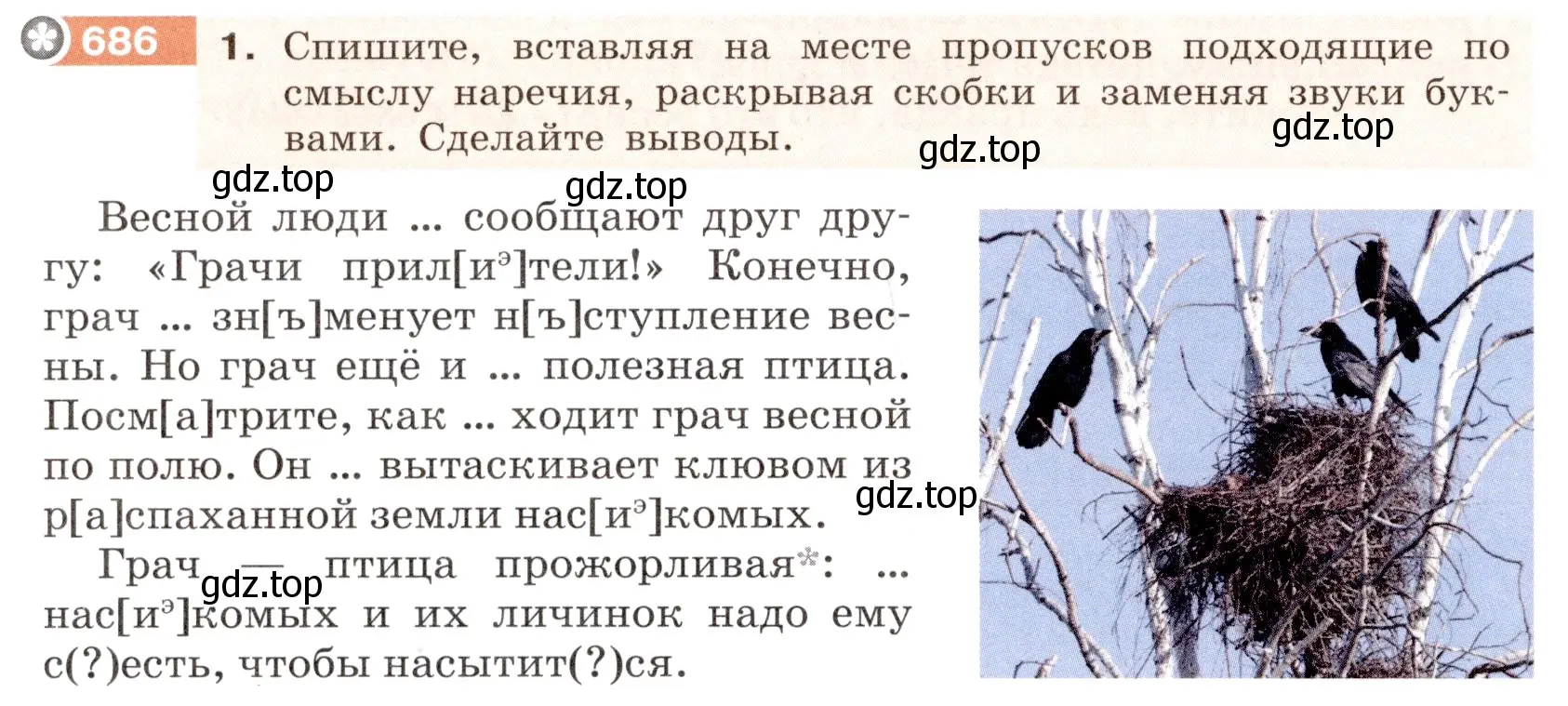 Условие номер 686 (страница 110) гдз по русскому языку 6 класс Разумовская, Львова, учебник 2 часть