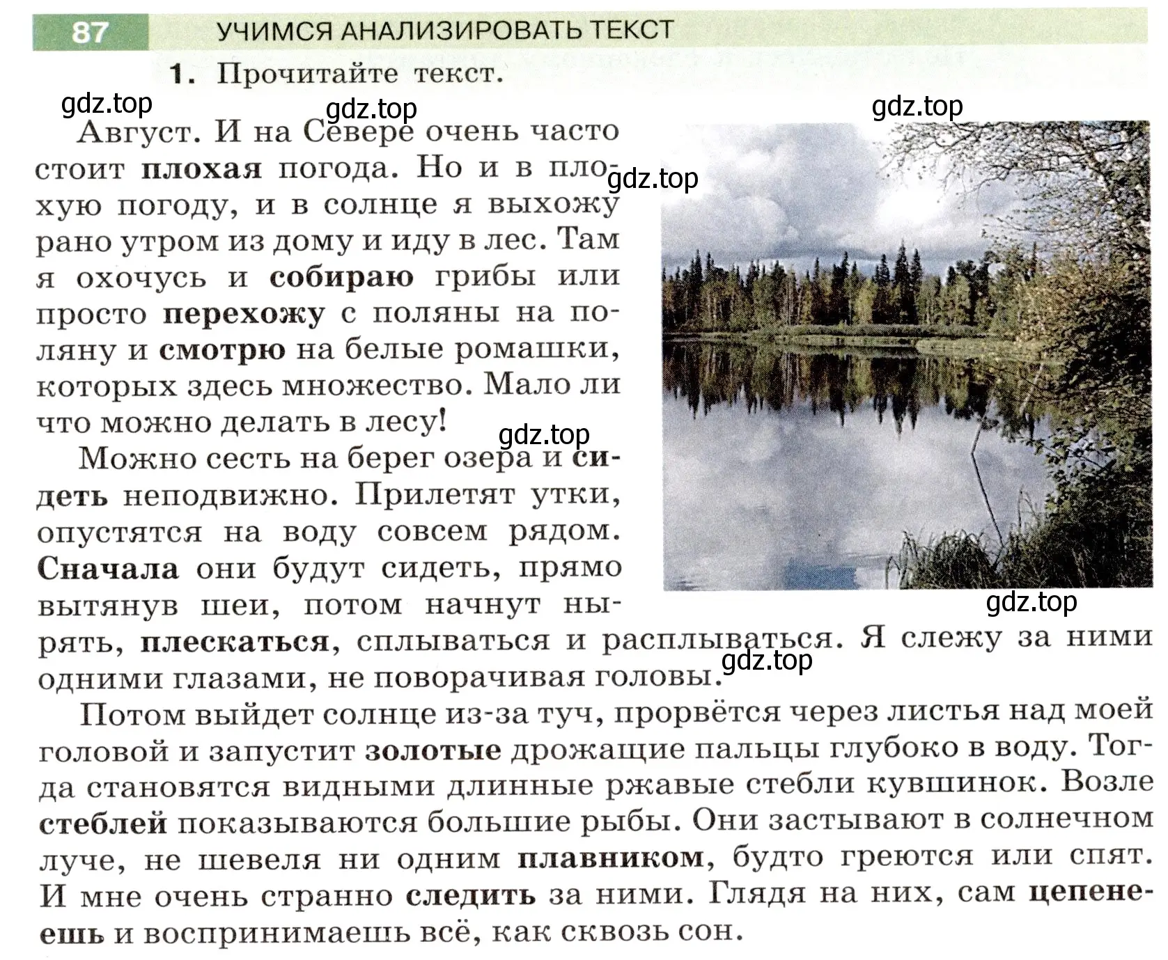 Условие номер 87 (страница 35) гдз по русскому языку 6 класс Разумовская, Львова, учебник 1 часть