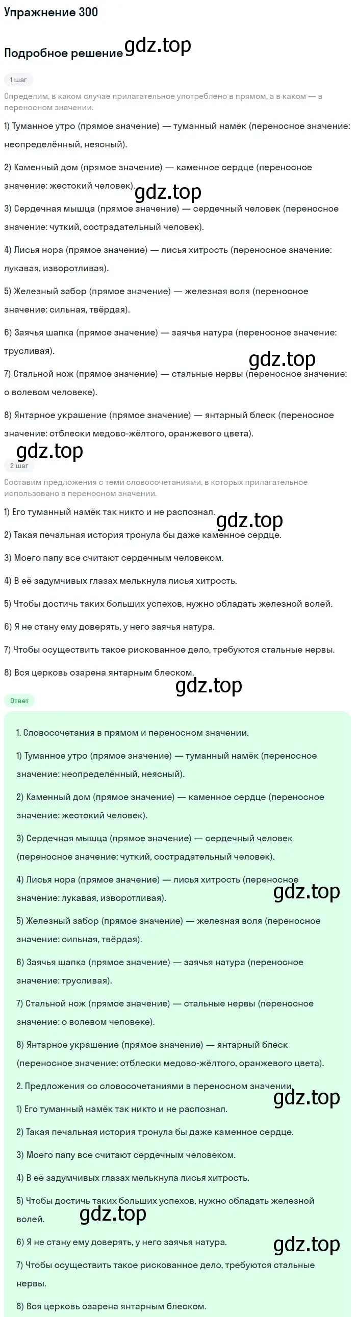 Решение номер 300 (страница 112) гдз по русскому языку 6 класс Разумовская, Львова, учебник 1 часть