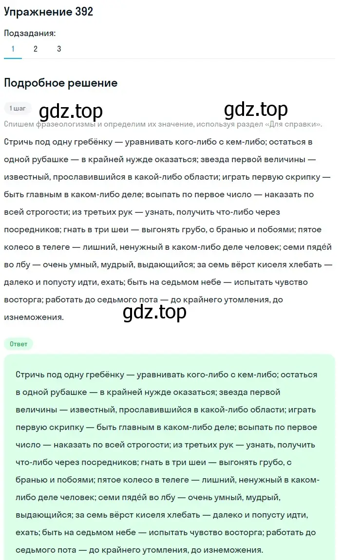 Решение номер 392 (страница 141) гдз по русскому языку 6 класс Разумовская, Львова, учебник 1 часть