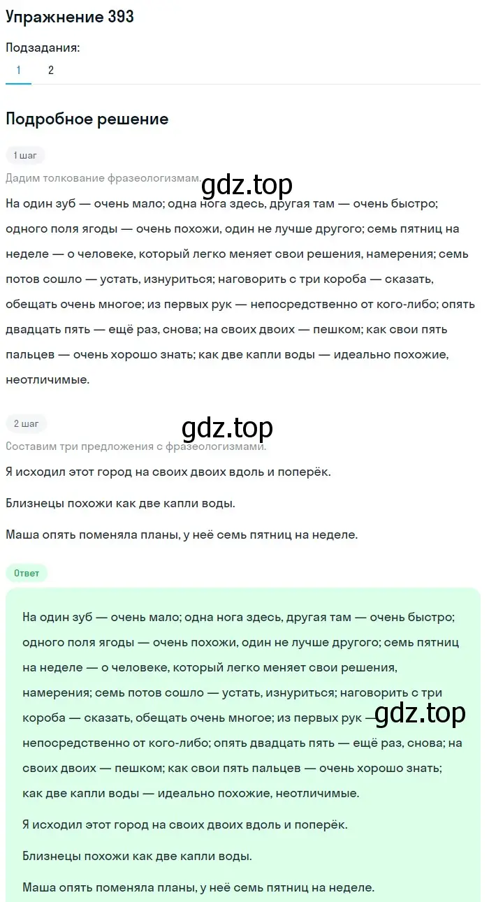 Решение номер 393 (страница 142) гдз по русскому языку 6 класс Разумовская, Львова, учебник 1 часть