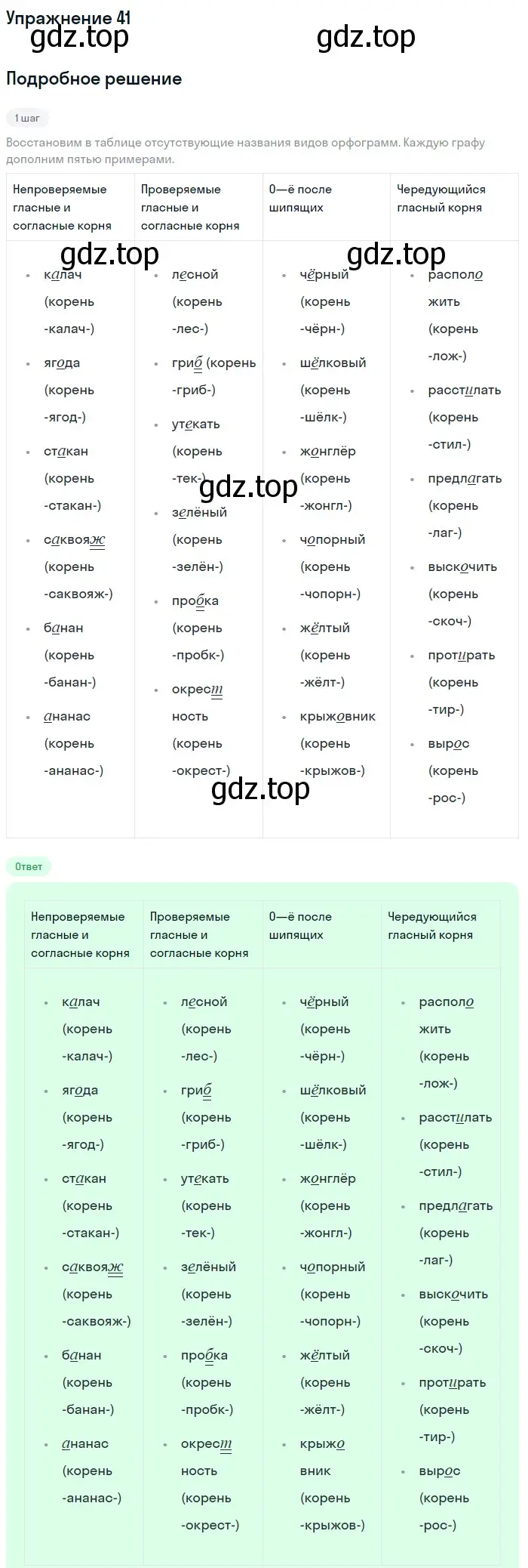 Решение номер 41 (страница 20) гдз по русскому языку 6 класс Разумовская, Львова, учебник 1 часть