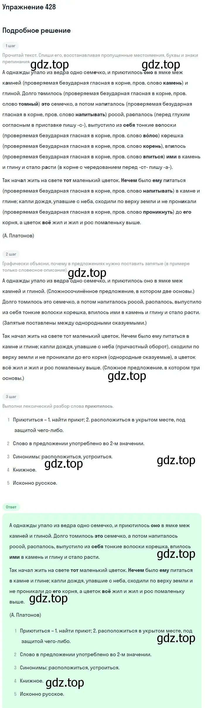 Решение номер 428 (страница 5) гдз по русскому языку 6 класс Разумовская, Львова, учебник 2 часть