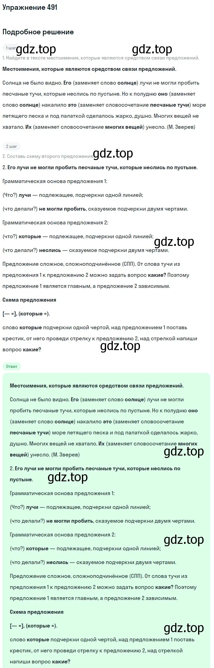 Решение номер 491 (страница 28) гдз по русскому языку 6 класс Разумовская, Львова, учебник 2 часть