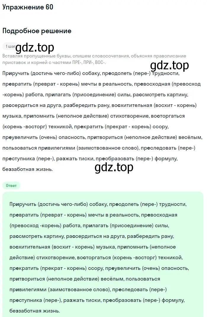 Решение номер 60 (страница 25) гдз по русскому языку 6 класс Разумовская, Львова, учебник 1 часть