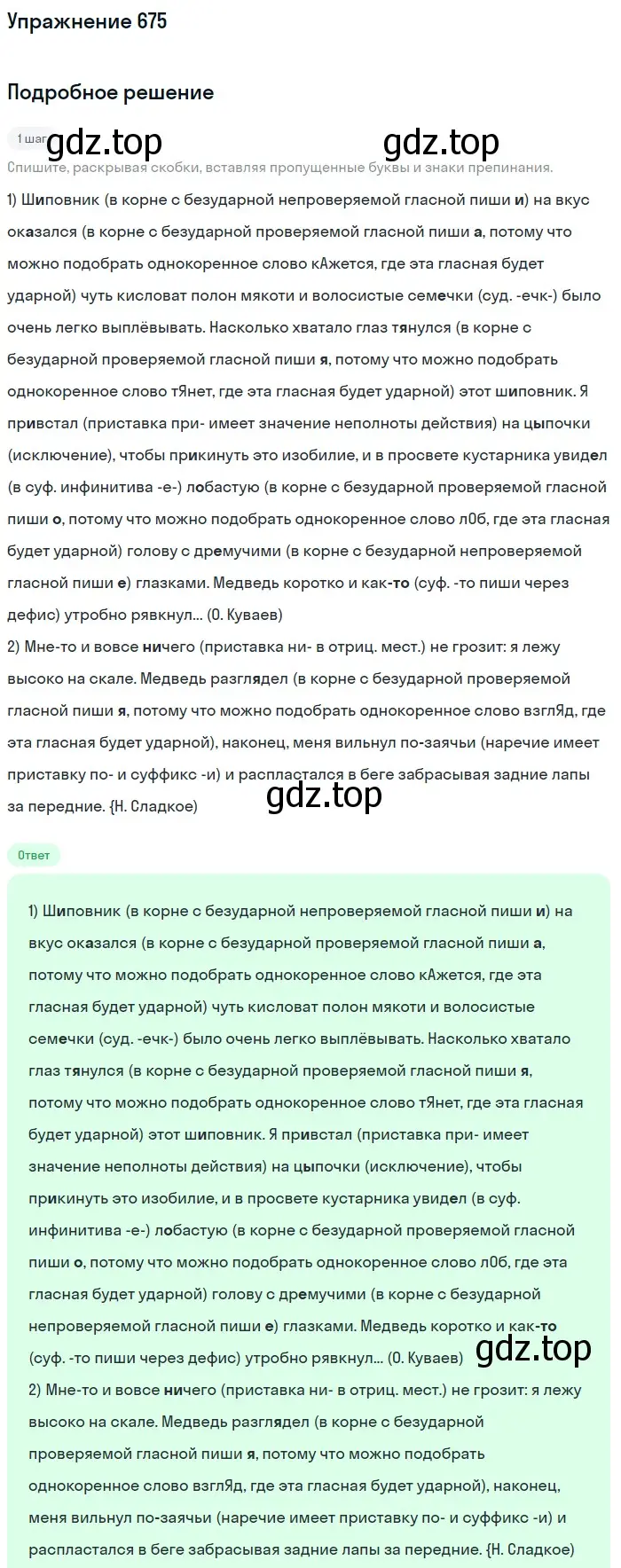 Решение номер 675 (страница 106) гдз по русскому языку 6 класс Разумовская, Львова, учебник 2 часть