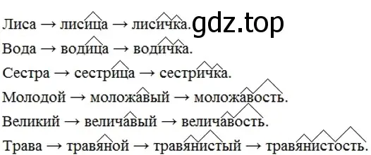 Решение 2. номер 162 (страница 63) гдз по русскому языку 6 класс Разумовская, Львова, учебник 1 часть